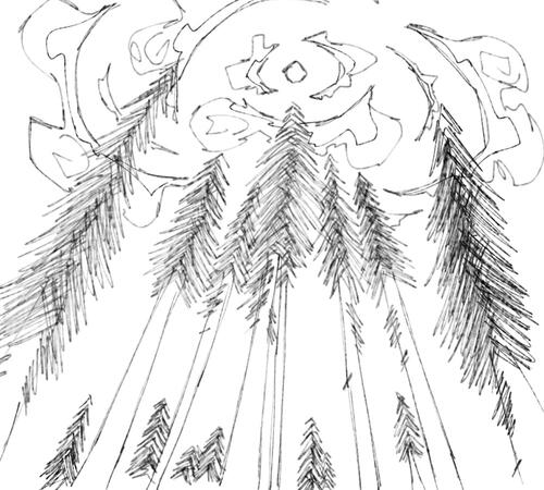 Forest Sketch Forest Sketch